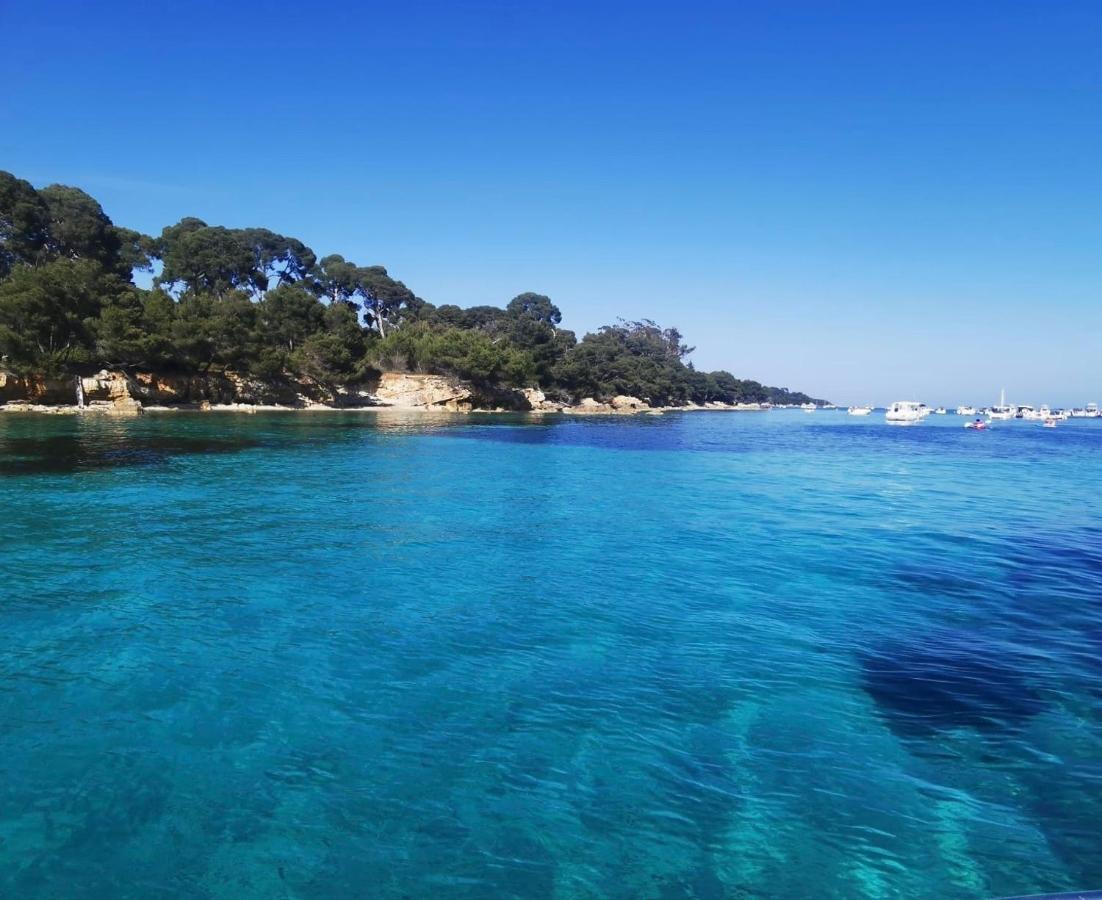 Un Havre De Paix Au Coeur De Mougins 아파트 외부 사진